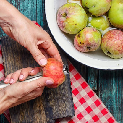 Easy Use Stainless Steel Fruit Corer Tool