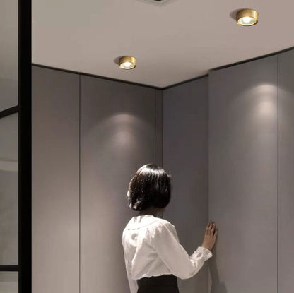 Compact LED Ceiling Lamp Copper Finish