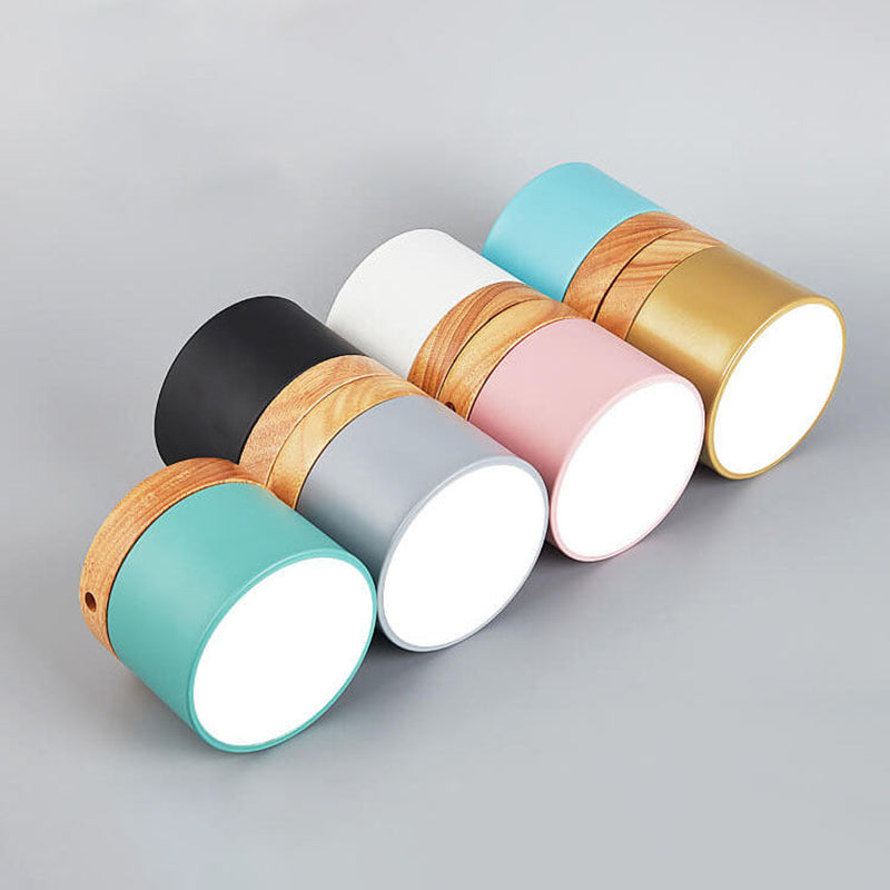 Modern LED Ceiling Lamp Adjustable Color