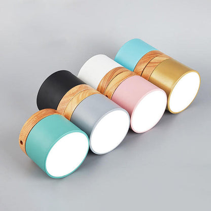 Modern LED Ceiling Lamp Adjustable Color