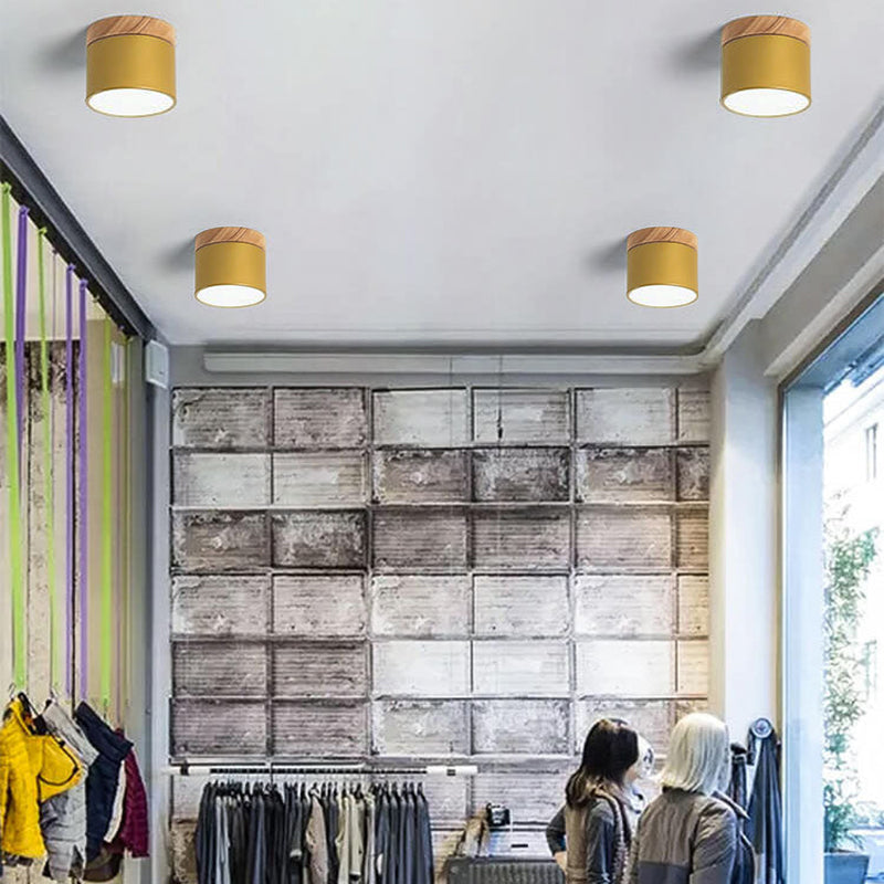 Modern LED Ceiling Lamp Adjustable Color