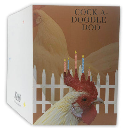 Humorous 3D Pop Up Birthday Greeting Card
