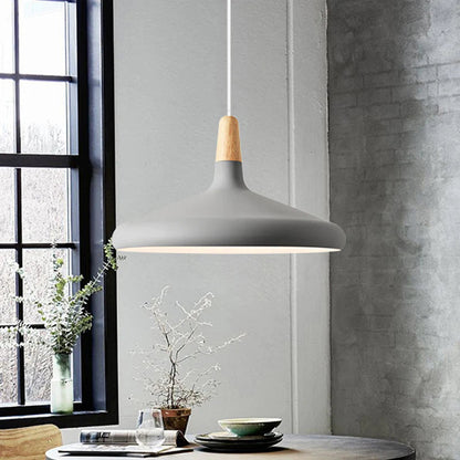 Stylish Metal Drop Pendant Light