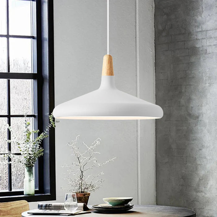 Stylish Metal Drop Pendant Light