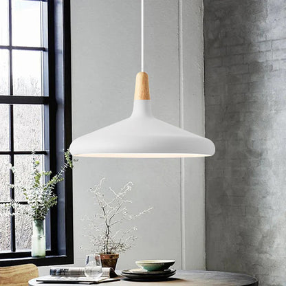 Stylish Metal Drop Pendant Light