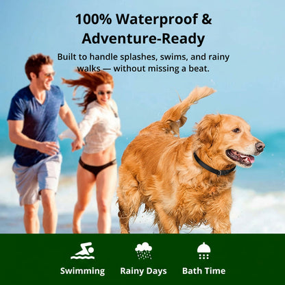 Waterproof Rechargeable Dog Shock Collar with Remote Control
