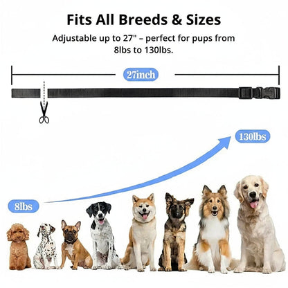Waterproof Rechargeable Dog Shock Collar with Remote Control
