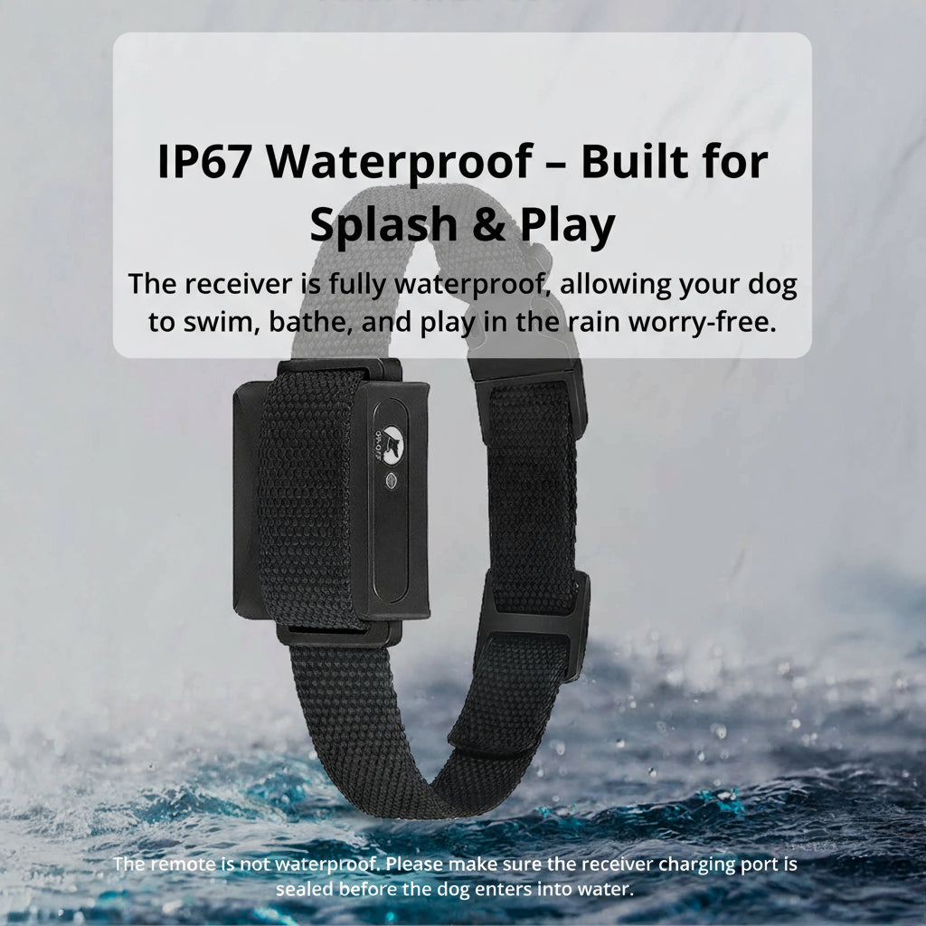 Waterproof Rechargeable Dog Shock Collar with Remote Control