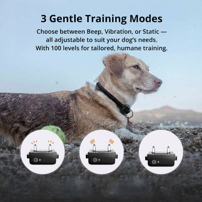 Waterproof Rechargeable Dog Shock Collar with Remote Control