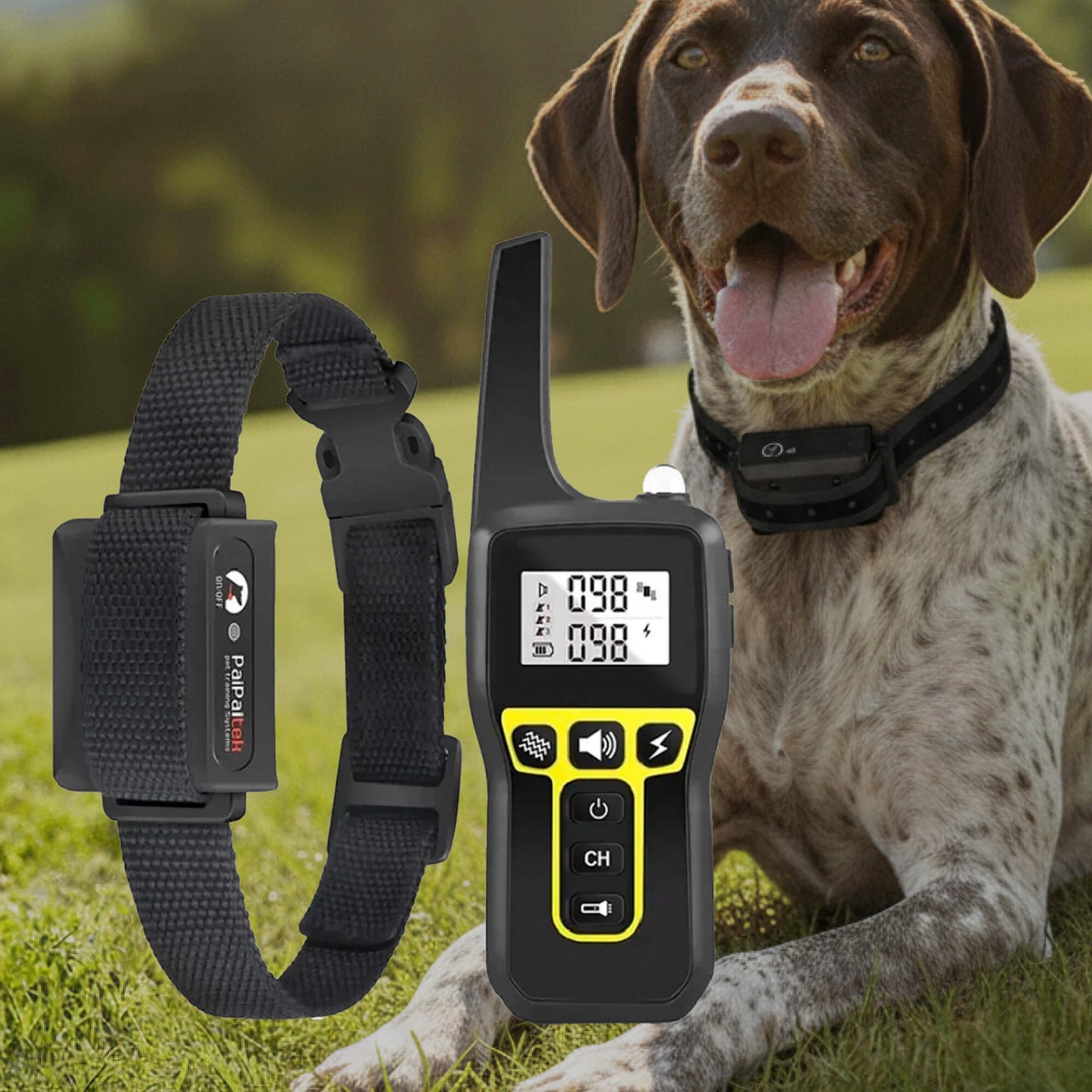 Waterproof Rechargeable Dog Shock Collar with Remote Control - Cofik