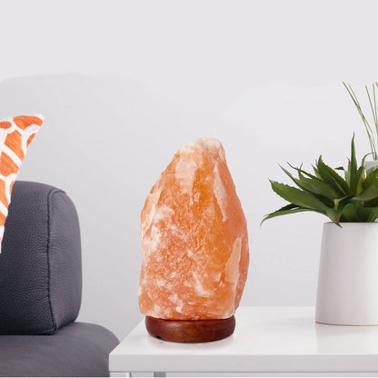 Natural Salt Table Lamp with Adjustable Dimmer