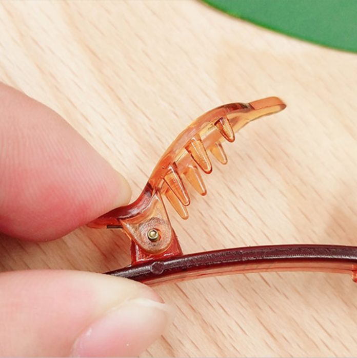 Trendy Dual Bangs Hair Clip