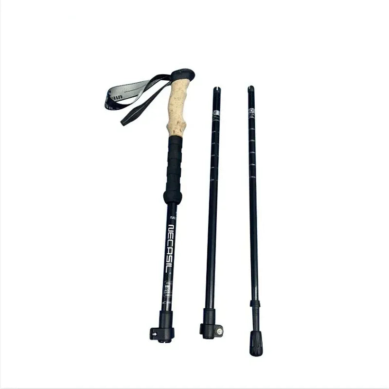 Best Lightweight Collapsible Hiking Poles
