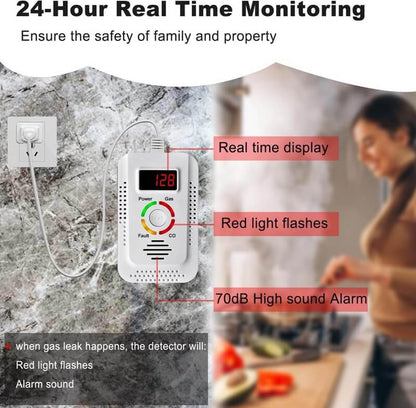 Smart Home CO Detector Alarm System