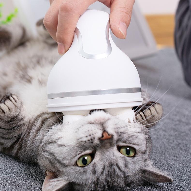 Relaxing Pet Massage Kit