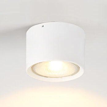 Sleek White 12W Ceiling Light Fixtures for Bedroom Living Room