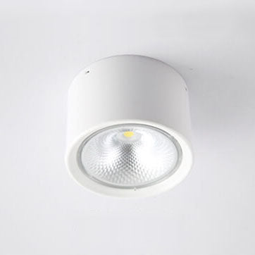 Sleek White 12W Ceiling Light Fixtures for Bedroom Living Room
