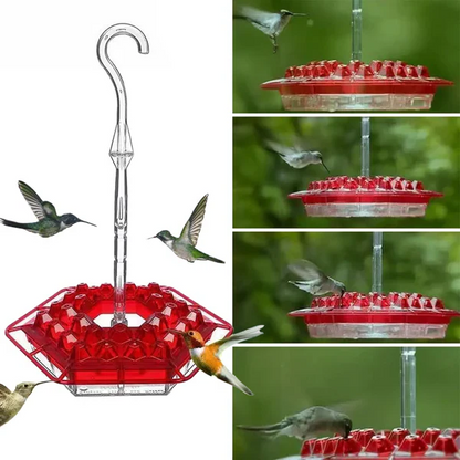 Noxord | Pest-Proof Hummingbird Feeder with 30 Bug-Resistant Holes - Cofik