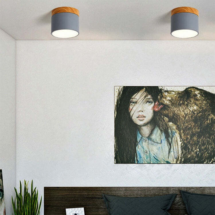 Modern LED Ceiling Lamp Adjustable Color - Cofik