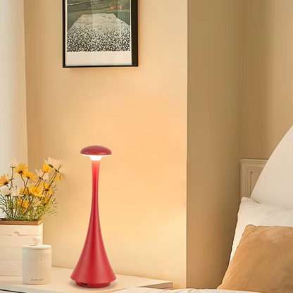 Energy Saving Desk Light Lamp