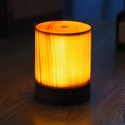 Portable LED Desk Lamp with USB Rechargeable Touch Control