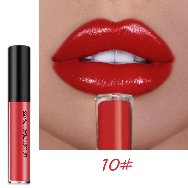 Moisturizing Long Lasting Lip Color