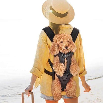 Cozy Pet Travel Carrier - Waterproof & Ventilated