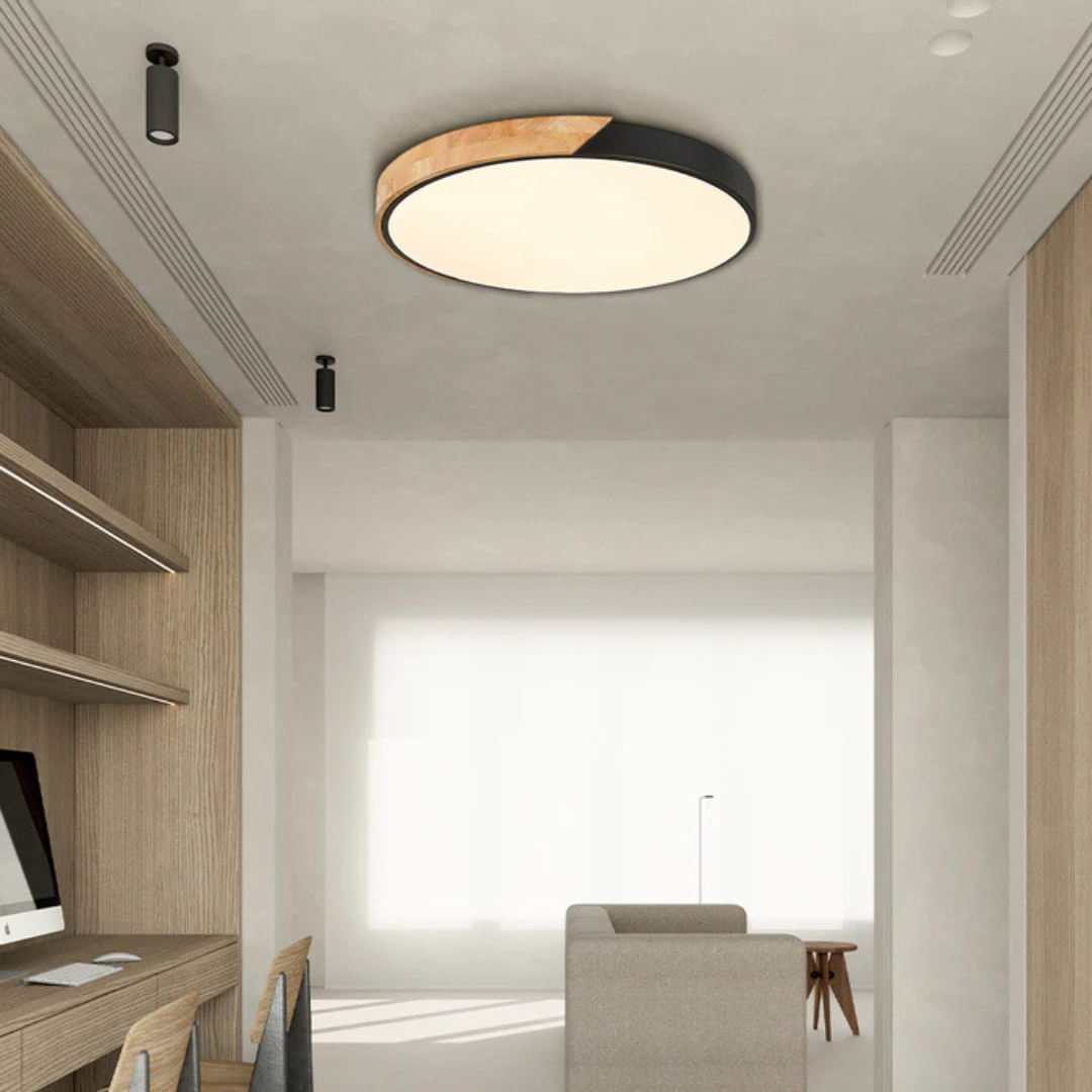 Eco Friendly Modern LED Ceiling Light