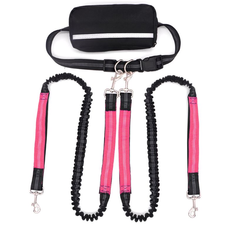 Adjustable Dog Running Leash with Pouch Bag