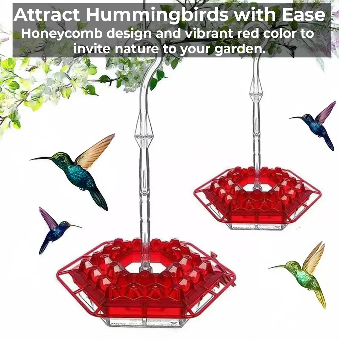 Noxord | Pest-Proof Hummingbird Feeder with 30 Bug-Resistant Holes