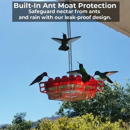 Noxord | Pest-Proof Hummingbird Feeder with 30 Bug-Resistant Holes