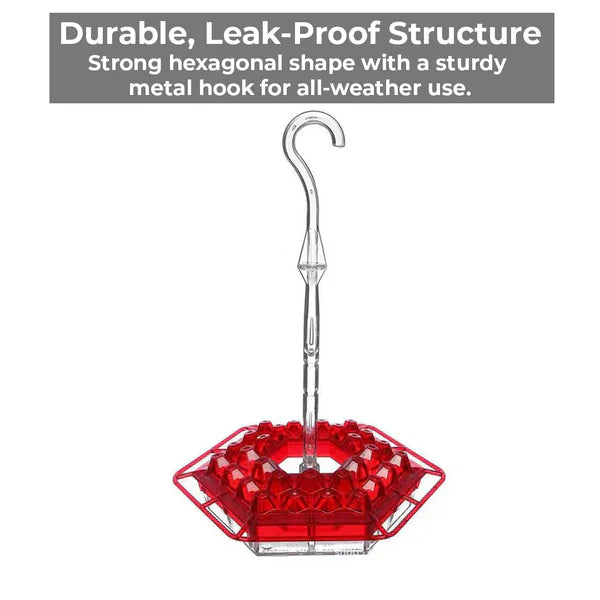 Noxord | Pest-Proof Hummingbird Feeder with 30 Bug-Resistant Holes