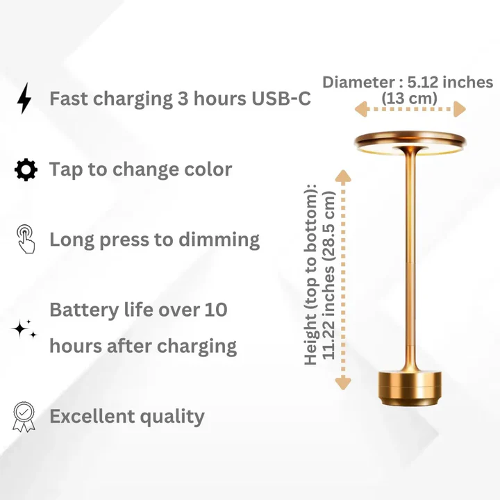 Battery Powered LED String Light