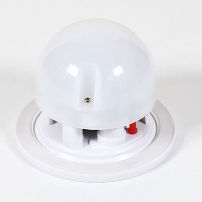 Colorful Plastic Oval LED Desk Lamp