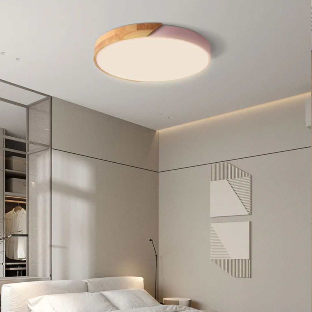 Eco Friendly Modern LED Ceiling Light