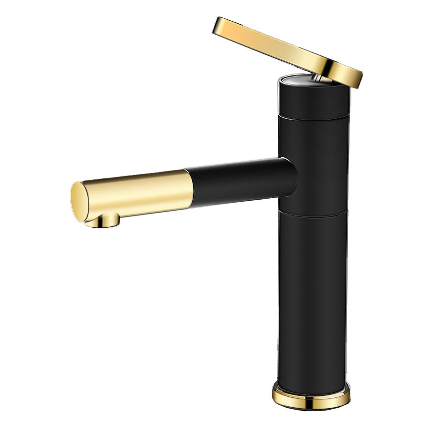 Modern Faucet with Lever Handle and Rotating Spout