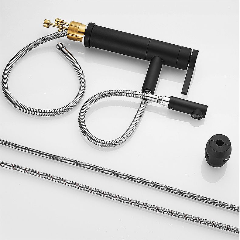 Modern Faucet with Lever Handle and Rotating Spout
