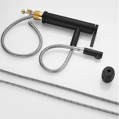 Modern Faucet with Lever Handle and Rotating Spout