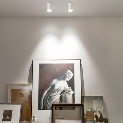 Bright White LED Ceiling Spot Light