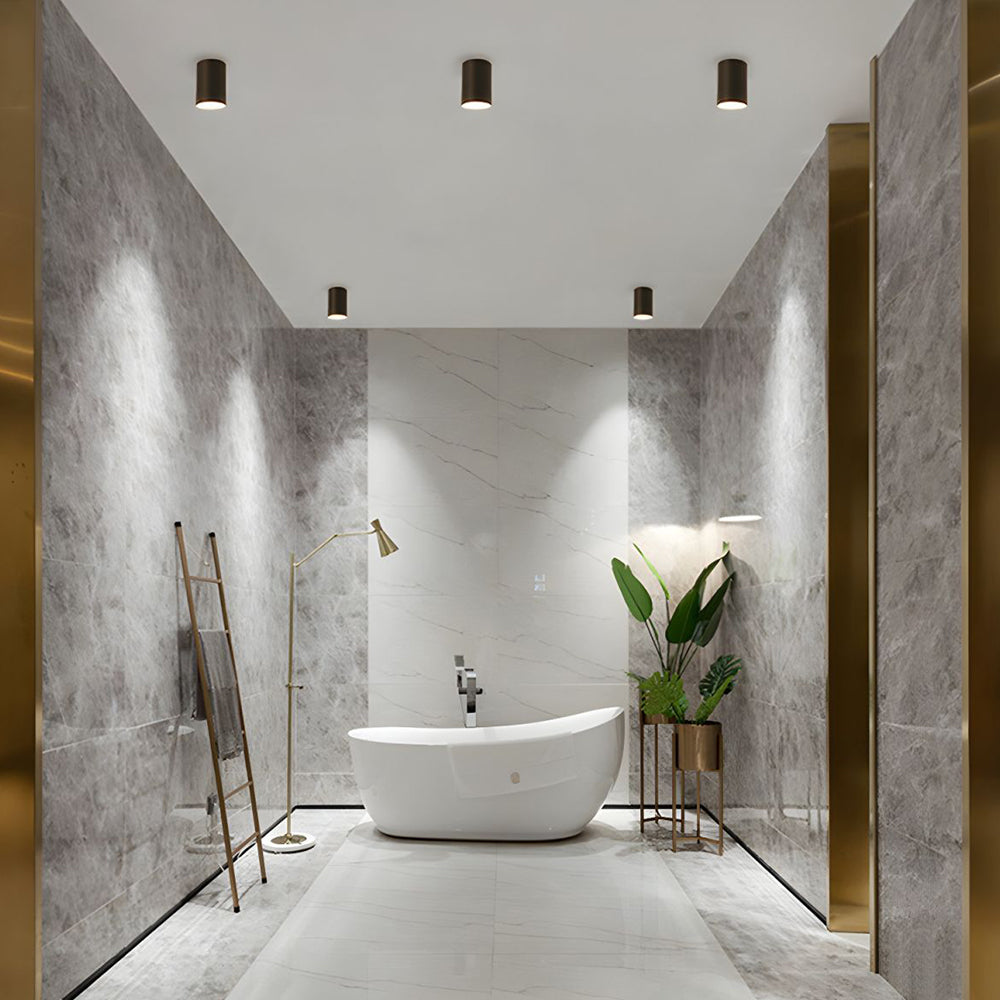 Bright White LED Ceiling Spot Light