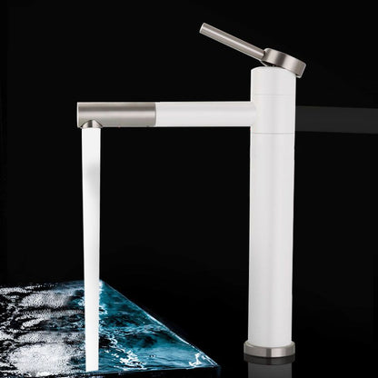 Contemporary Single Handle Stainless Steel Kitchen Faucet