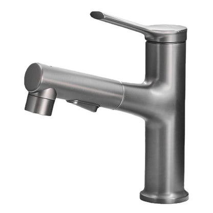 Modern Kitchen Sink Faucet with Pull-Out Spray nozzle