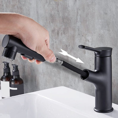 Modern Kitchen Sink Faucet with Pull-Out Spray nozzle