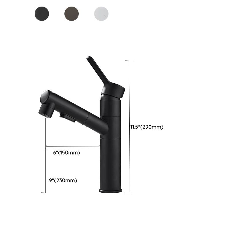 Modern Single Handle Bathroom Faucet with Pull Out Spray