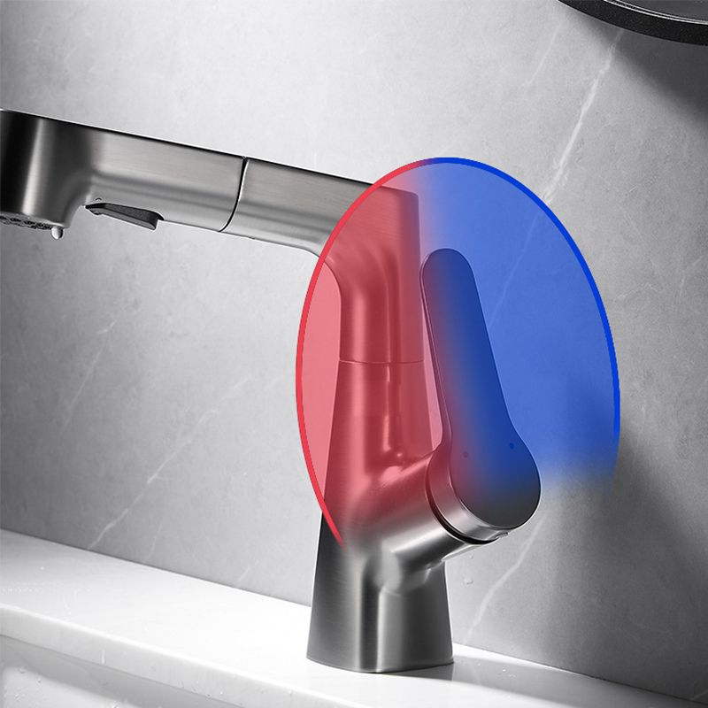 Modern Extendable Kitchen Sink Faucet with Lever Handle