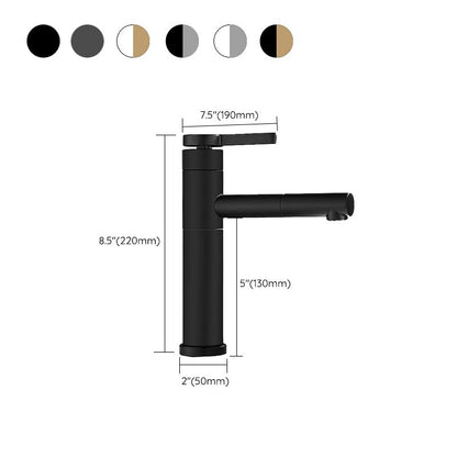 Modern Faucet with Lever Handle and Rotating Spout