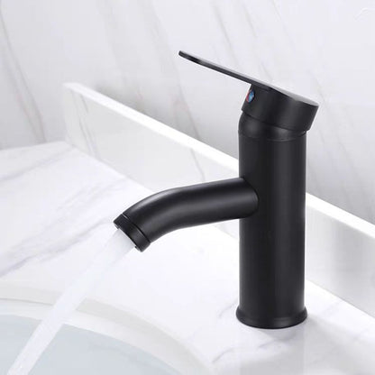 Contemporary Stainless Steel Bathroom Sink Faucet