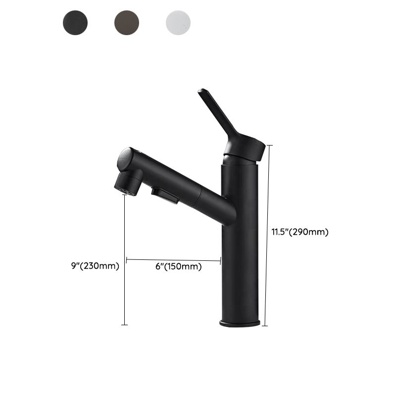 Modern Single Handle Bathroom Faucet with Pull Out Spray