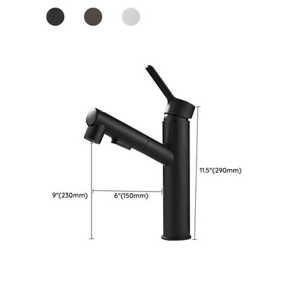 Modern Single Handle Bathroom Faucet with Pull Out Spray