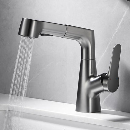 Modern Extendable Kitchen Sink Faucet with Lever Handle